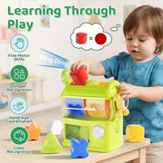 Montessori Shape Sorter Sensory Toy