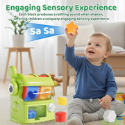 Montessori Shape Sorter Sensory Toy